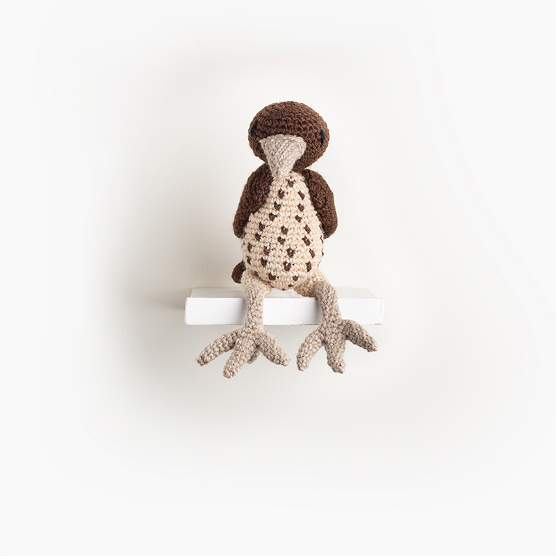 Adele the Song Thrush